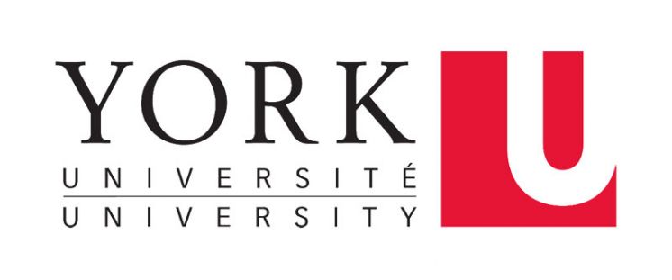 Job Posting: Tenure-Track Appointment in International Relations / Security Studies, Department of Politics, York University