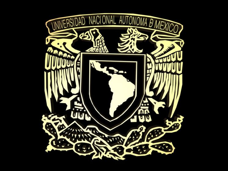 Publicación: Anuario Mexicano de Relaciones Internacionales Nueva Época