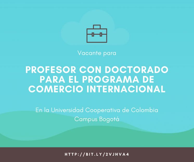 Profesor Investigador con Doctorado